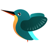 Kingfisher����