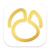 Navicat Premium������