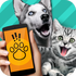 pet translator����Ի�������1.1���°�