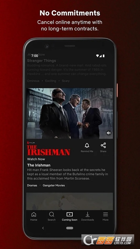 网飞netflix软件最新版运行截图