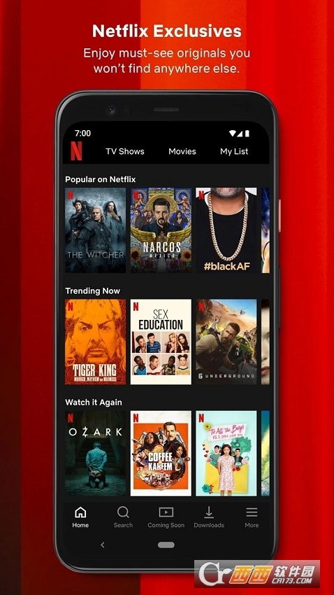 网飞netflix软件最新版运行截图