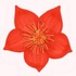 ���ҳ���appѧУ�ɷ�ѧ����2.1.9��׿��