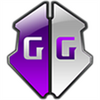 �Լ�gg�޸���