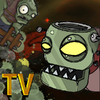 pvz����ʱ�����İ�