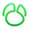 Navicat for MySQL 2022���°�ͼ��