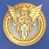 �ƴ��ռ�app���°汾