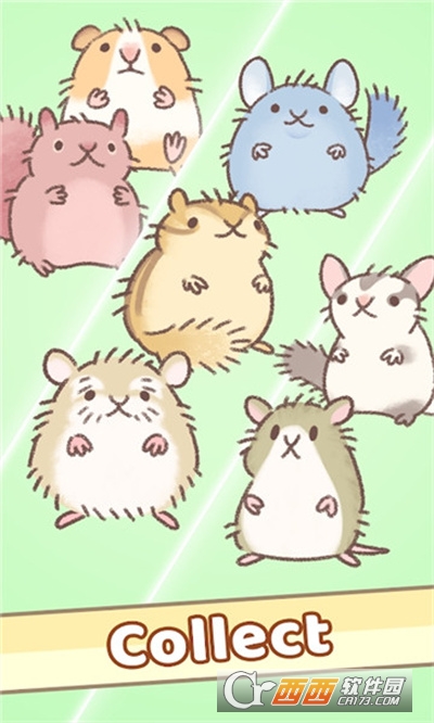 hamster race()