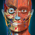 AnatomyLearning(3D ѧ)v2.1.351 ׿