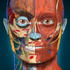 AnatomyLearning(3D ����ѧ)ͼ��