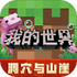 �ҵ����缫�ٰ�2022�°�v1.18.30.32 ��׿��