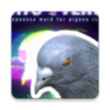 ������