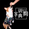 ѵ������