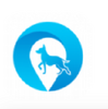 HAODOG��Ȯ�켣