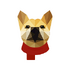�����罻appv3.3.4 ��׿�ٷ���