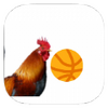 ��ҹ����