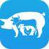 ������ֳ��1.1��׿��