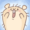 hamster race(����������)