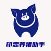 ӡ����������app