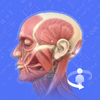 3Dbody����ѧ