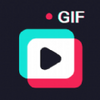 GIF��ͼ������ʦ