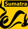 SumatraPDF 3.4.2 ��Я��&��װ��