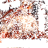 ȫ��սӥ����
