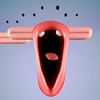 ����ģ����