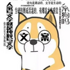 �İ����鹷