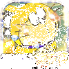 �����������������޳�