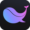 ��������app