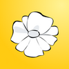 Lutea���ڼ�¼ͼ��