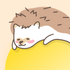 Tochi�����ռ�v4.0.9 2026�ٷ����İ�