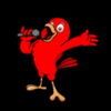 ��վ����Ƶ