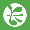 ��ѿ��app