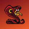 Pixel Cobra(�����۾���)