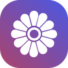 Wallhaven��ֽ���ļ��汾