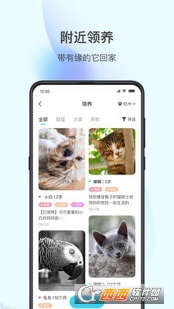 app v1.0.00