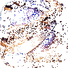 ����ҲGM�۷����ͼ��