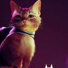 Stray����èBuffyMOD