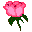 ��ʱ��������(��ʱ��������)V1.0��ɫ��
