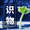 ʶ��ͨapp
