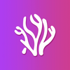 ɺ����Ƶ��ˬ��Ѱ�app���°�
