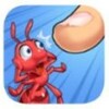 ���Ϸ����ʦ(Ant Smash Master)