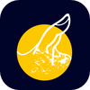 ָ����app
