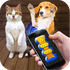�ҵ�èè����������v1.11 2026�ٷ����İ�