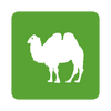 ��ũ�ƽ���app