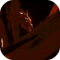 Ц��������3Dˬ����