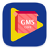 �ȸ�gms��װ���ֻ���(�ȸ����)v4.4.8 2026�ٷ����İ�