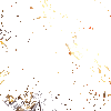 Ⱥ��֮�ӹٷ���