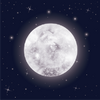 ����app�ٷ���